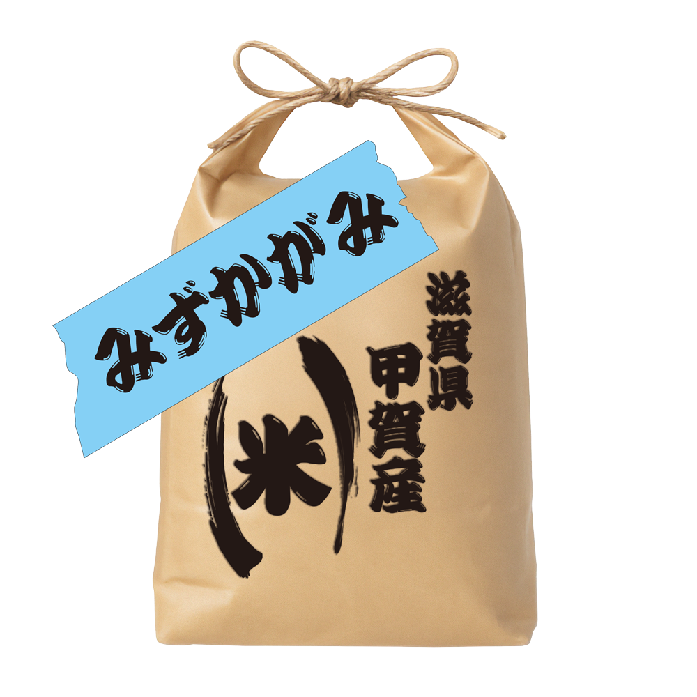 滋賀県甲賀産みずかがみ